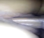 Follando culos peludos